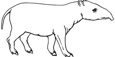 Животные 2683