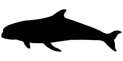 Животные 741