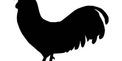 Животные 375