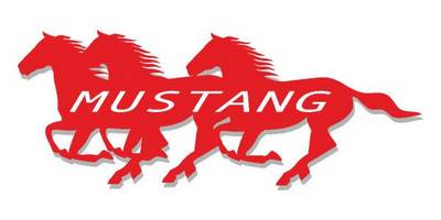 Виниловая наклейка на авто 541