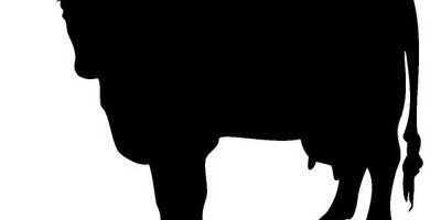 Животные 701