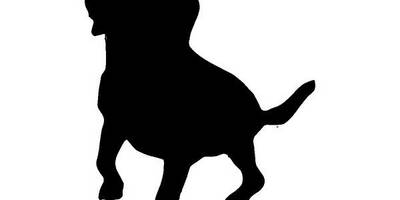 Животные 1108