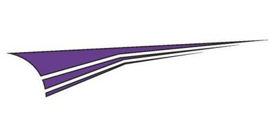 Виниловая наклейка на авто 447