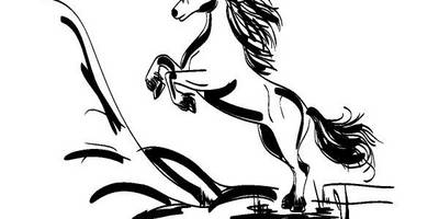 Животные 3407