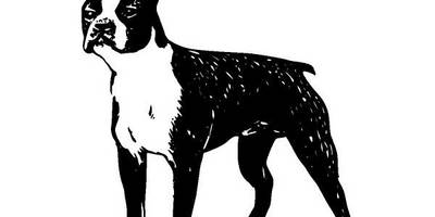 Животные 220