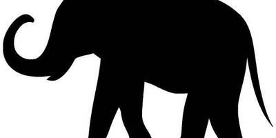 Животные 1138