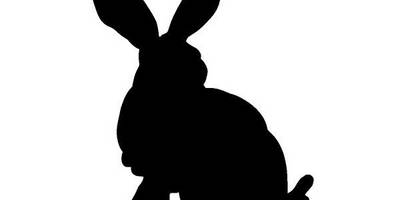 Животные 2420