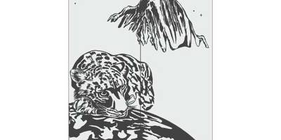 Прямоугольный орнамент 1947