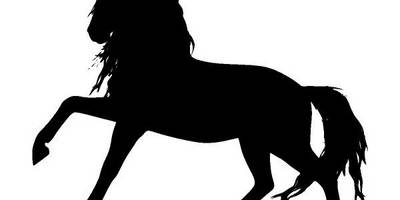 Животные 3471