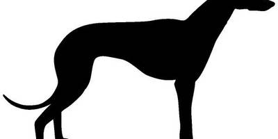 Животные 1203