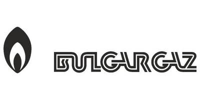Bilgargaz logo