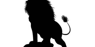 Животные 3228