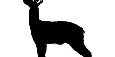 Животные 380