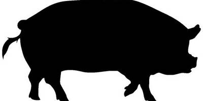 Животные 662