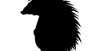 Животные 1253