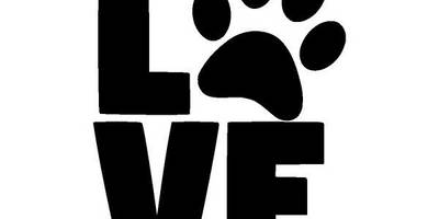 Животные 4080