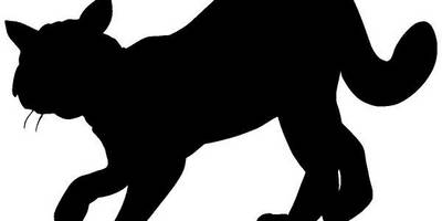 Животные 365