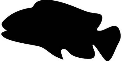 Животные 1595