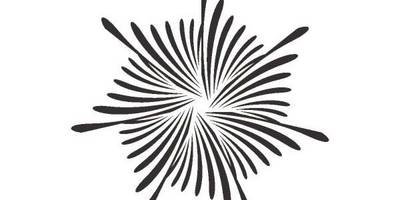 Орнамент цветы 199