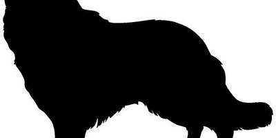 Животные 721