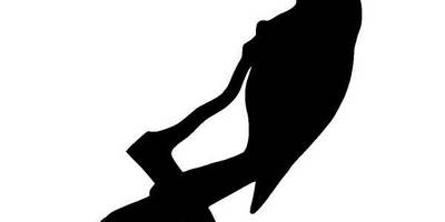 Животные 940