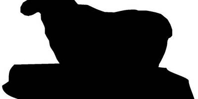 Животные 306