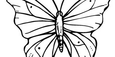 Животные 3138