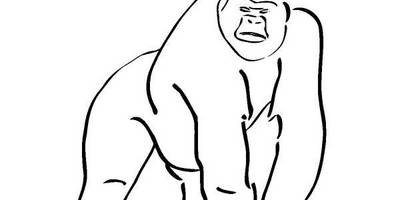 Животные 296