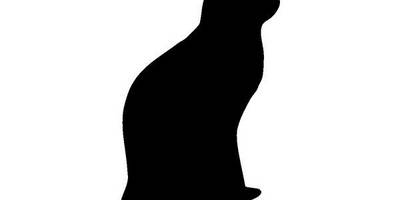 Животные 880