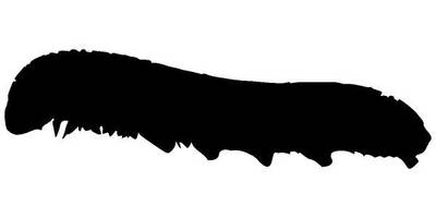 Животные 1276