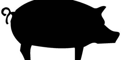 Животные 297