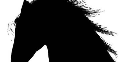 Животные 3510