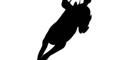 Животные 698