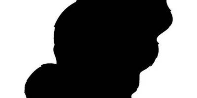 Животные 661