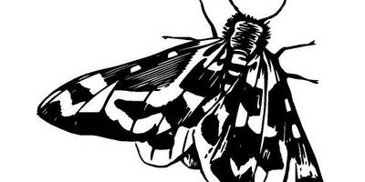 Животные 3960