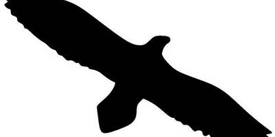 Животные 1577