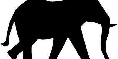 Животные 3457