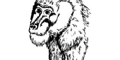 Животные 191