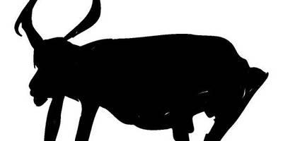 Животные 386