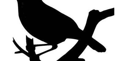 Животные 942