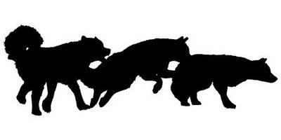 Животные 3488