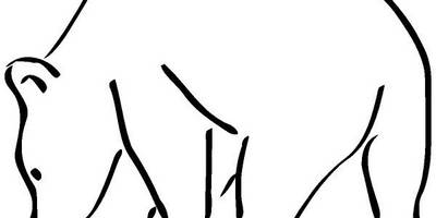 Животные 535