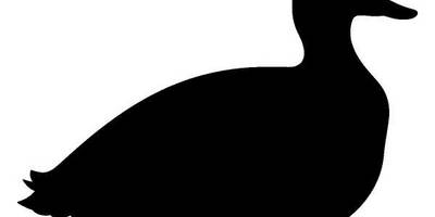 Животные 222