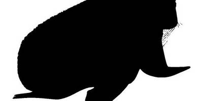 Животные 4151