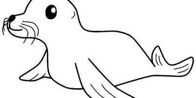 Животные 3343