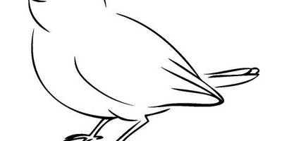 Животные 3038