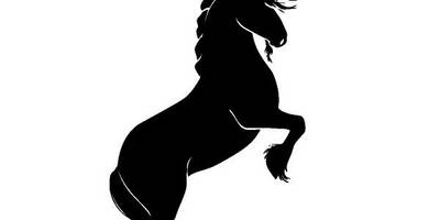 Животные 3792