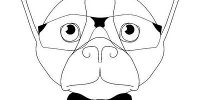 Животные 770