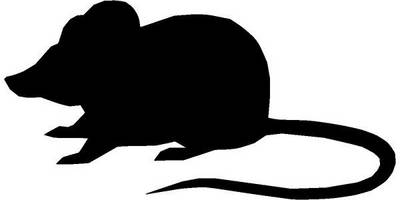 Животные 666