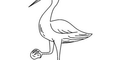 Животные 2983